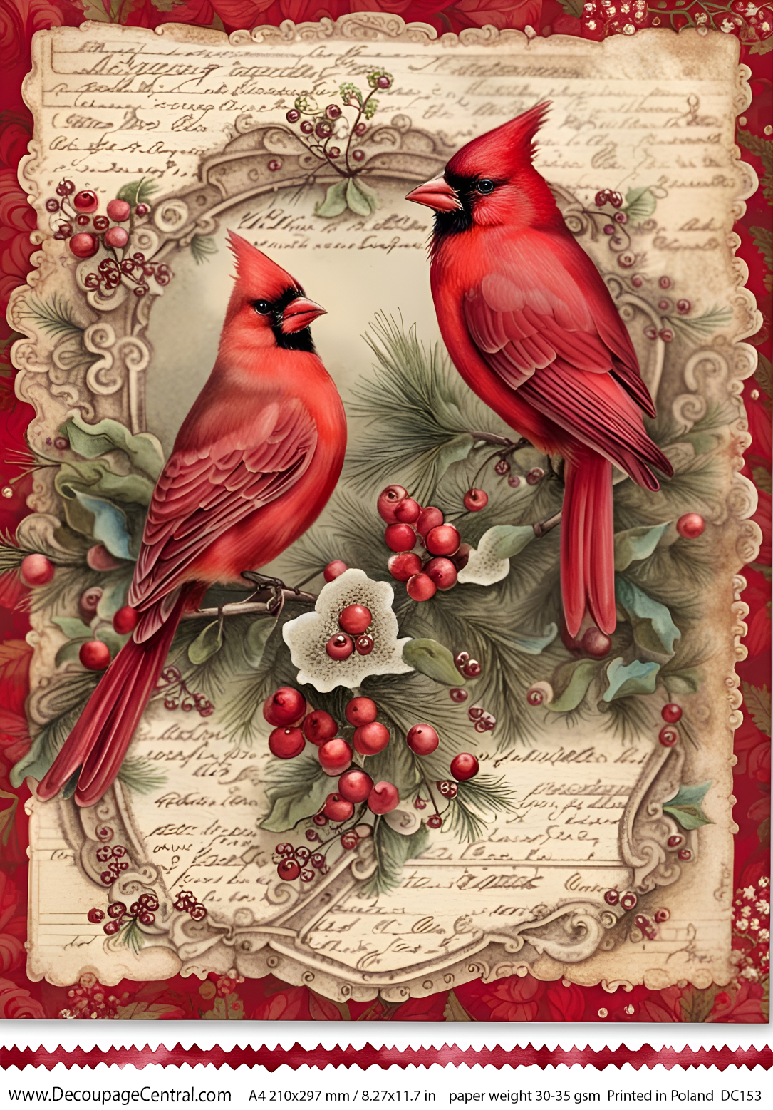 Cardinal Rice Cardinal Duo | Rice Paper – Piglet's Closet