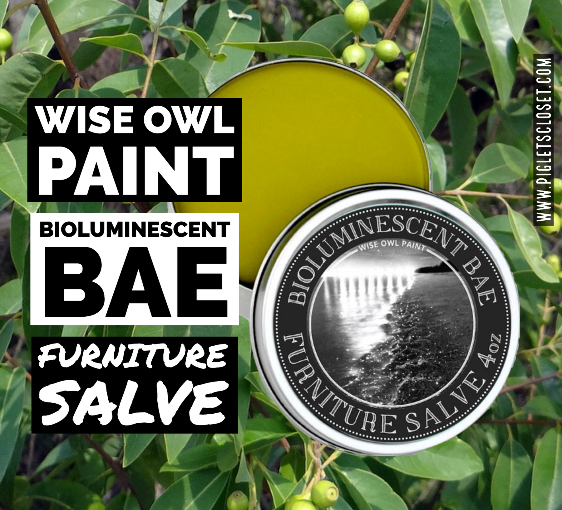 Bioluminescent Bae  Furniture Salve – Piglet's Closet